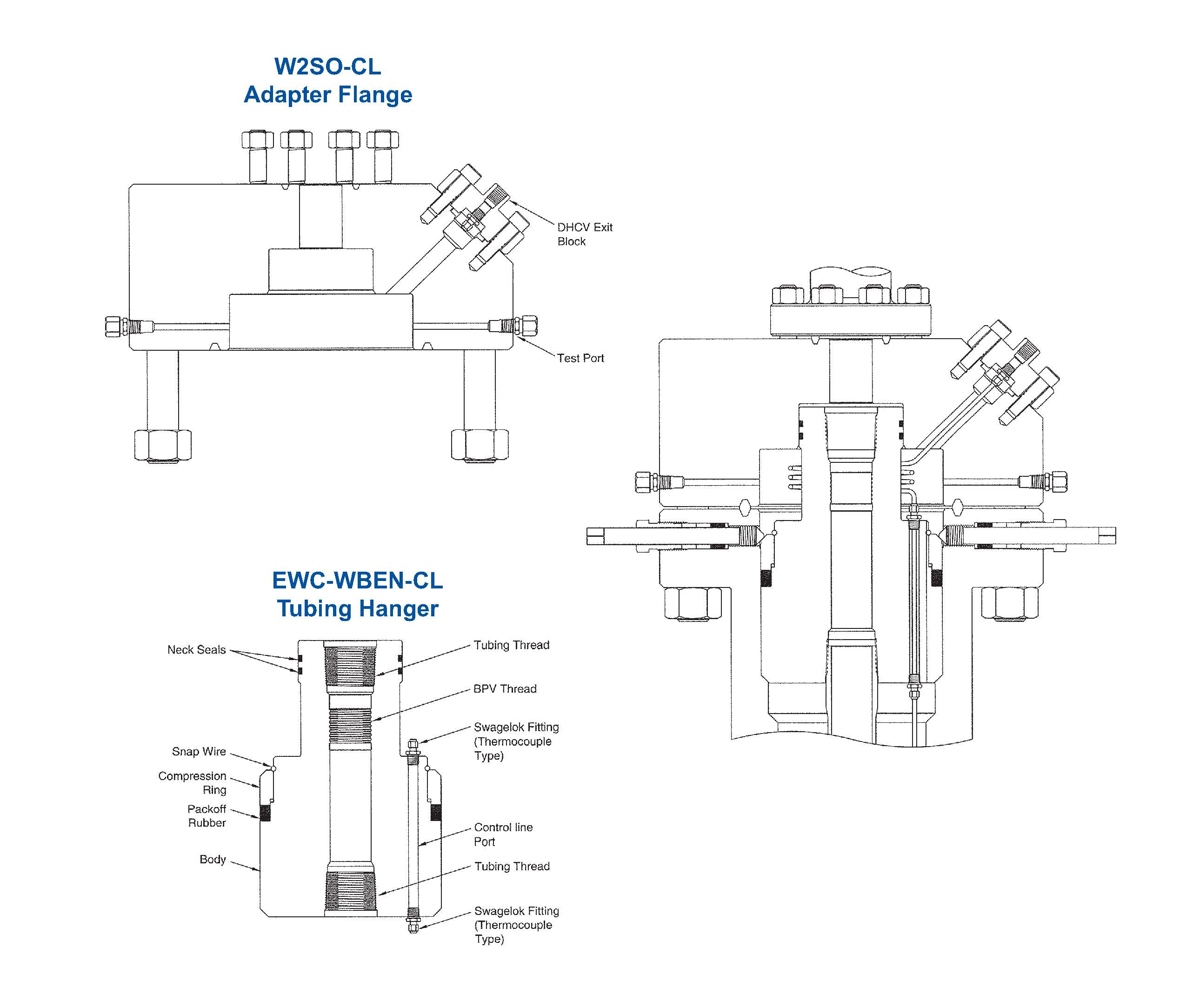 Back Pressure Valves For Tubing Hanger