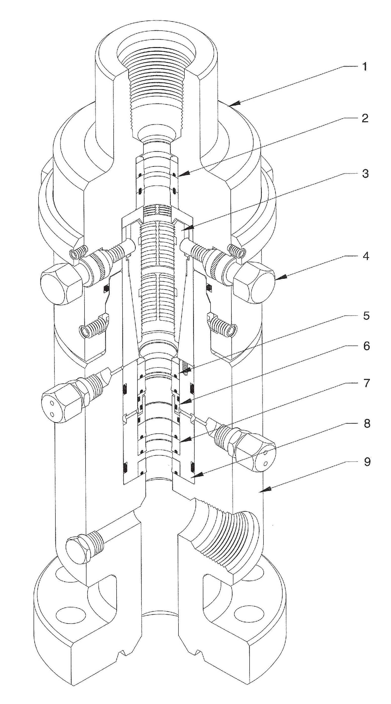 LGCTH External Coiled Tubing Hanger